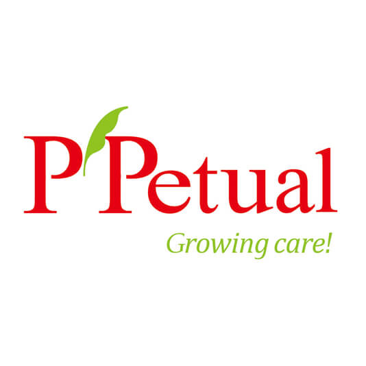 JCM Cool Rooms Adelaide - Gallery page, P'Petual logo.